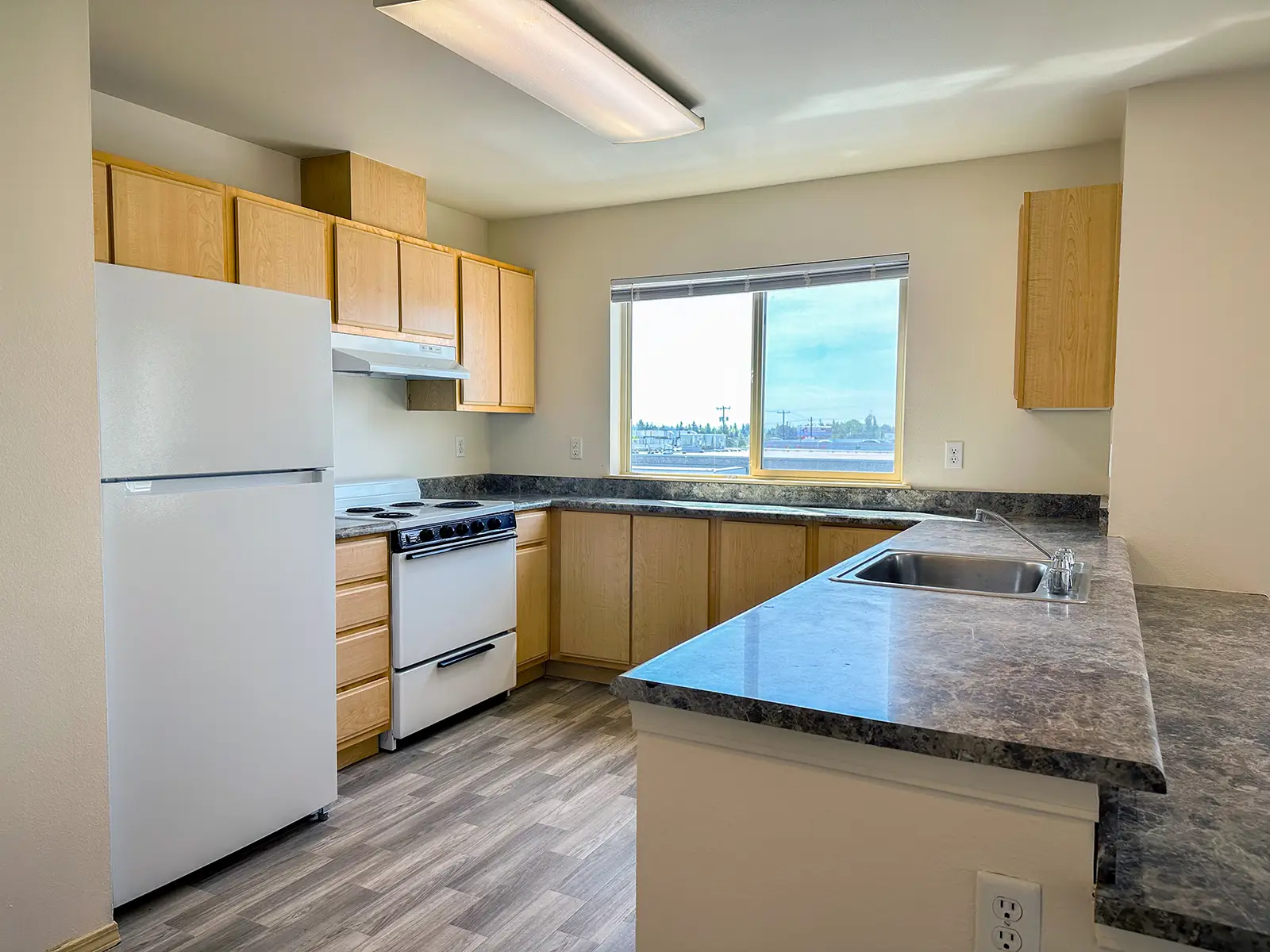 Apartment Kitchen with View